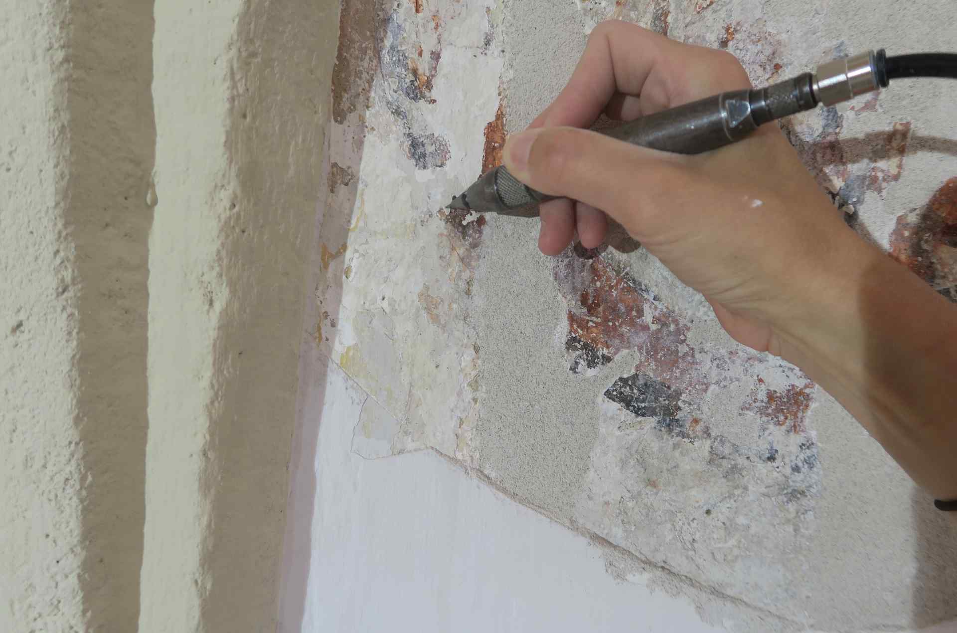 Restaurierung - Konservierung, Magdalena Schindler